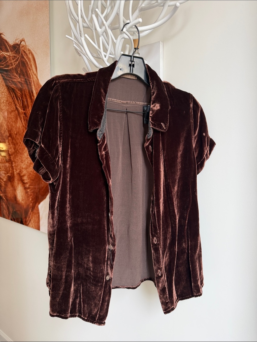 CO Shades Velvet Button-Up Short Sleeve Shirt — Deep Brown